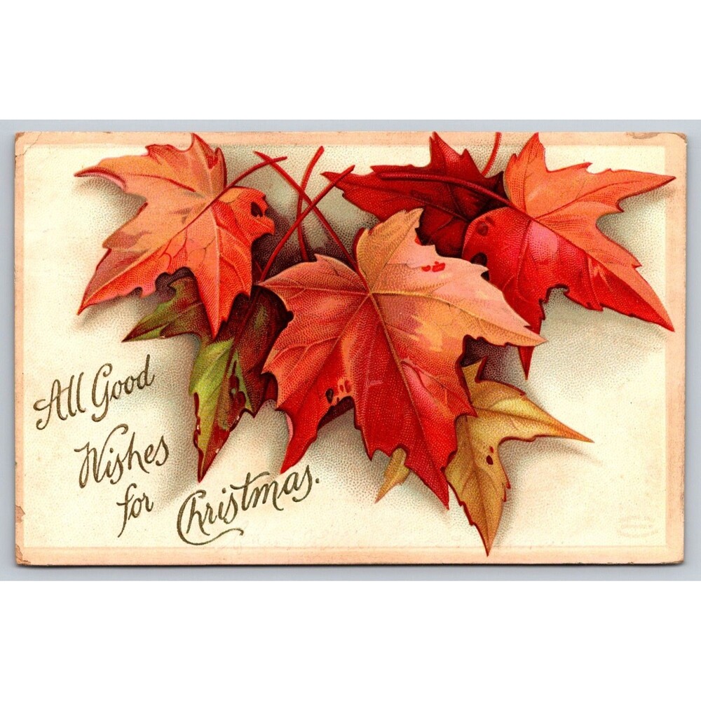 Postcard Good Wishes for Christmas Maple Leaves Posted 1910 St Louis MO Embossed